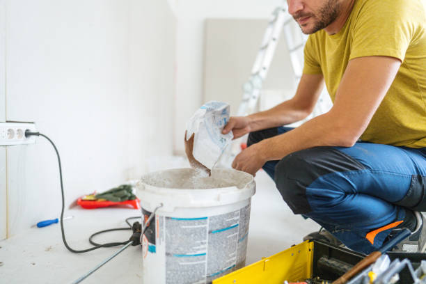 Best Real Estate Mold Inspection  in Sylva, NC