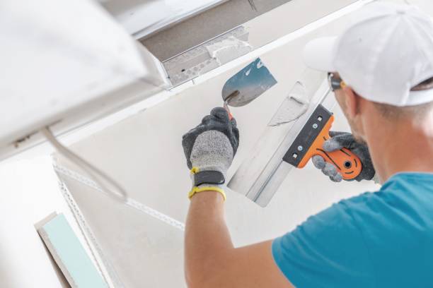 Best HVAC Mold Inspection and Cleaning  in Sylva, NC